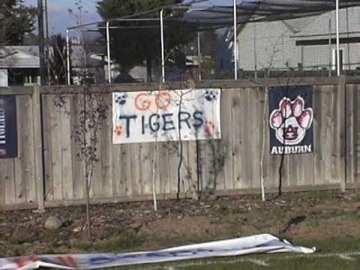 side line banners